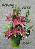 Bouquet de fleurs color&eacute;es pour un papa ch&eacute;ri